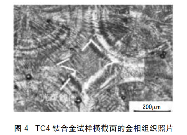 1660661233846907.jpg t4.jpg