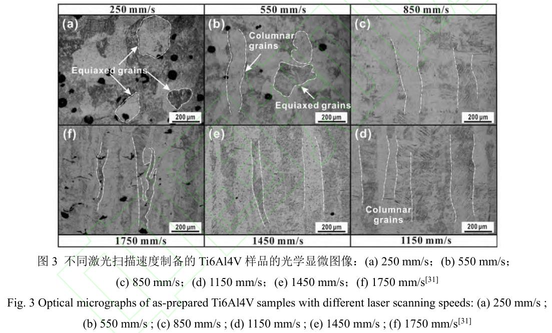 1692107171175928.jpg 4.jpg
