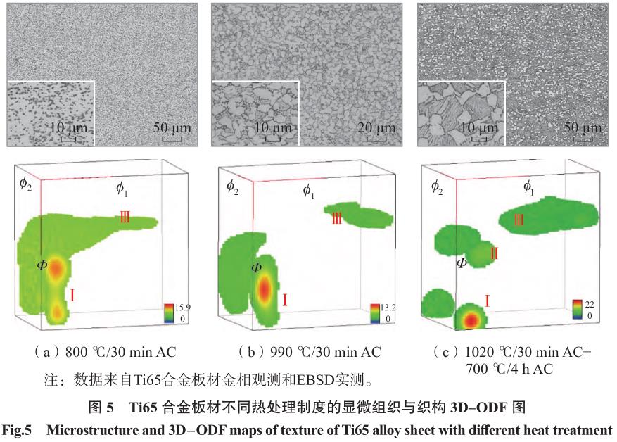 1695548480217504.jpg 1692067413640679.jpg